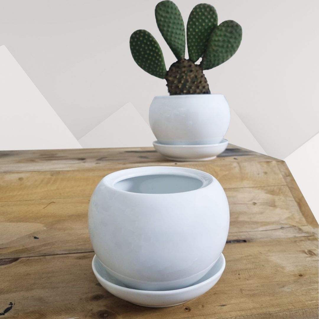 White ceramic pot