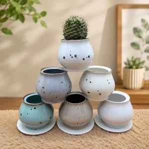 Ceramic Succulent Pot