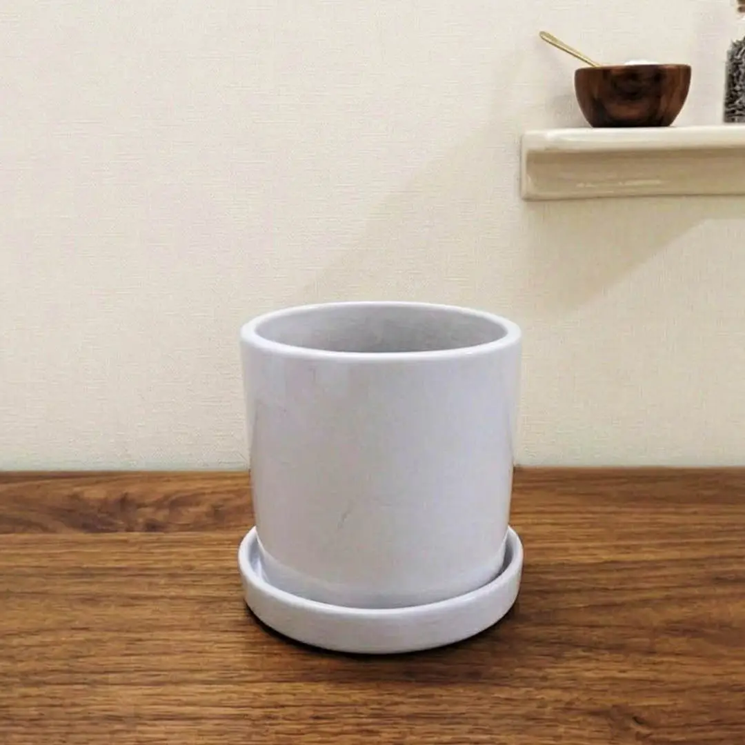 White Ceramic Planter with Tray