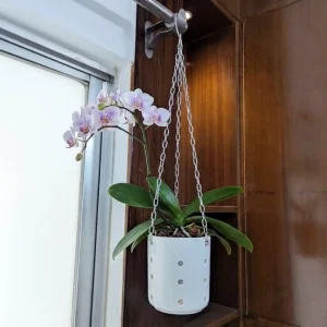 Ceramic Orchid Pot