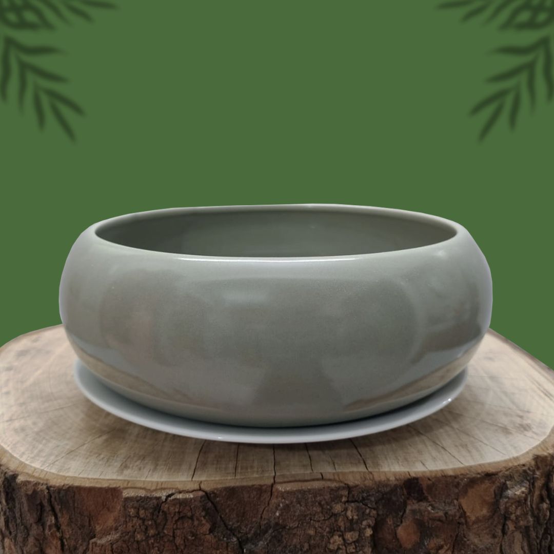 Ceramic Plant Pot