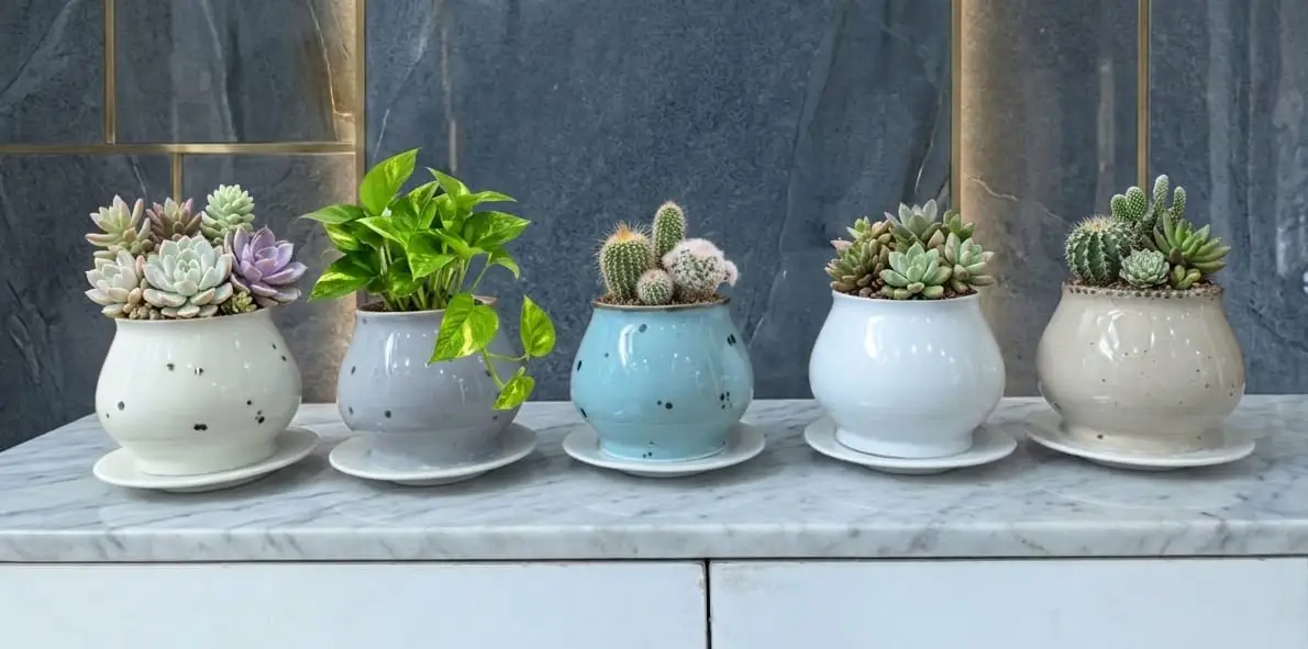 Ceramic Succulent Pot