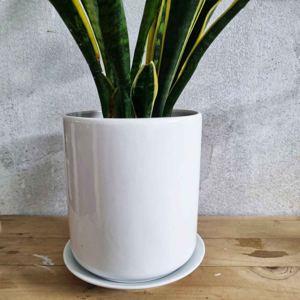 5 Inch Ceramic Planter