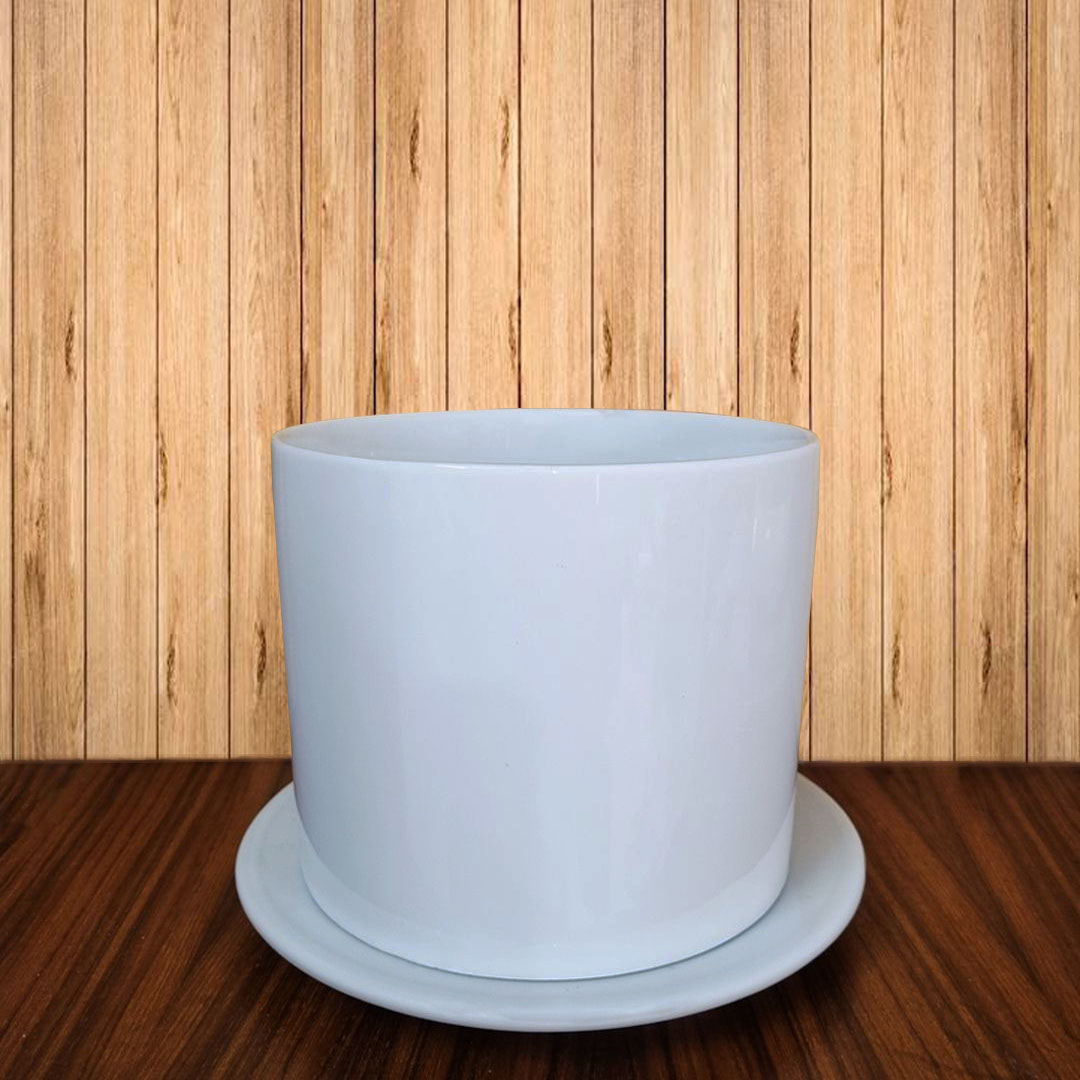Ceramic planter ceramic Planter