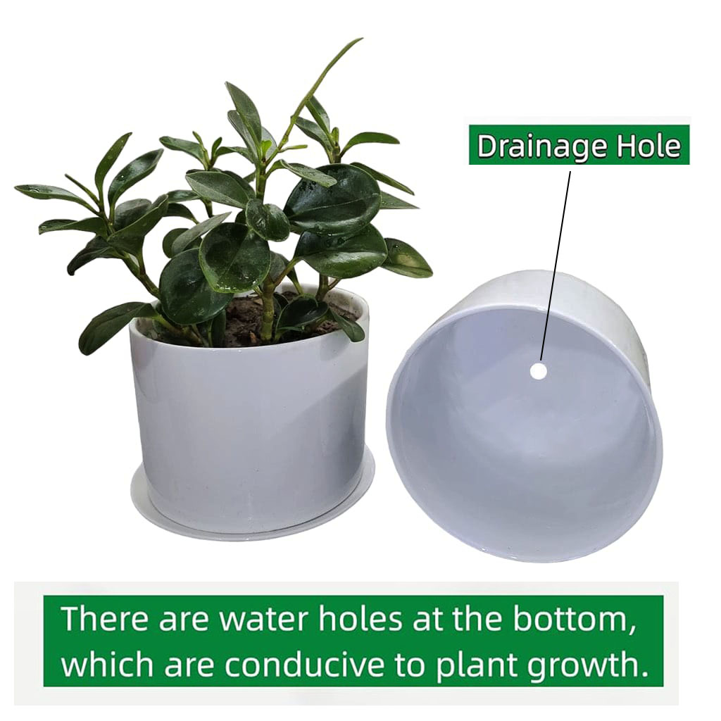 WhatsApp Image 2023-11-30 at 18.25.58_81e022b9 ceramic Planter