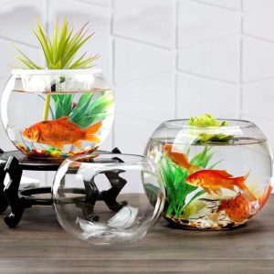 Clear Glass Jar