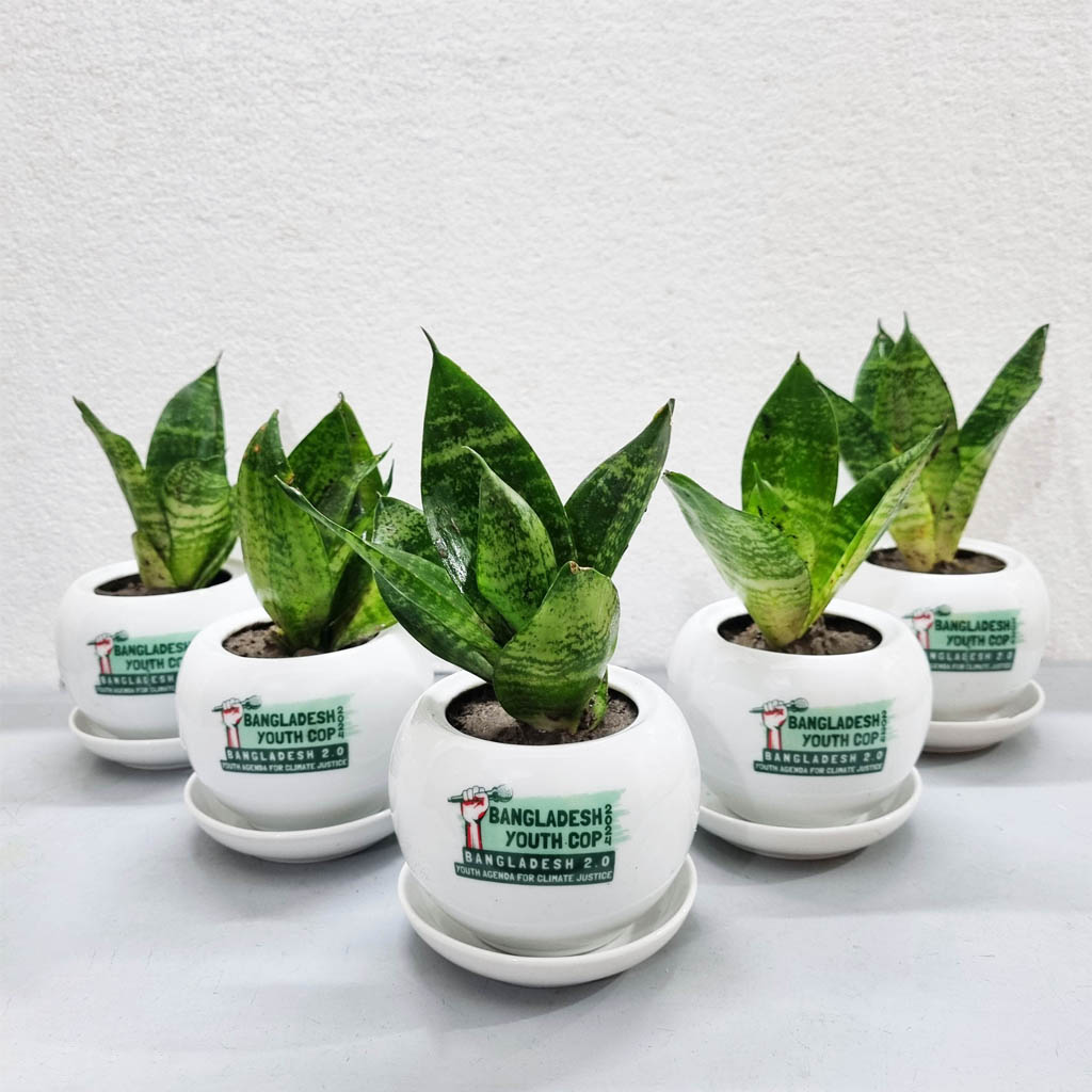 Corporate Gift