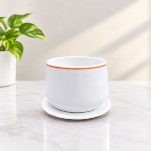 Ceramic Plant pot