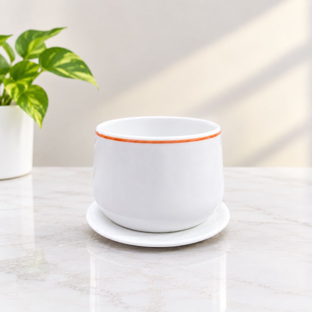 Ceramic Plant pot
