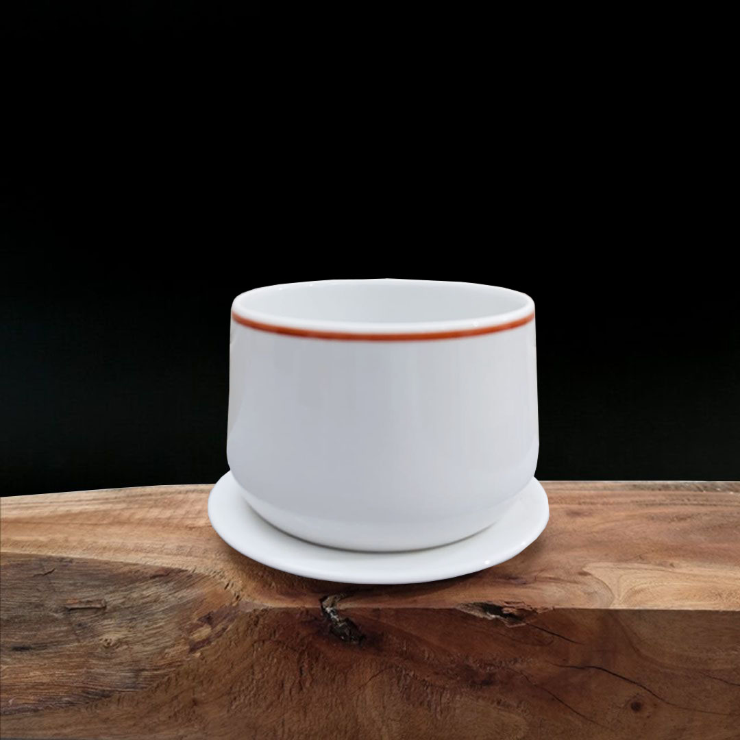 Ceramic Plant pot