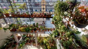 কিছু উপায়ে আপনার বারান্দাকে করে তুলুন আরও আকর্ষণীয়।