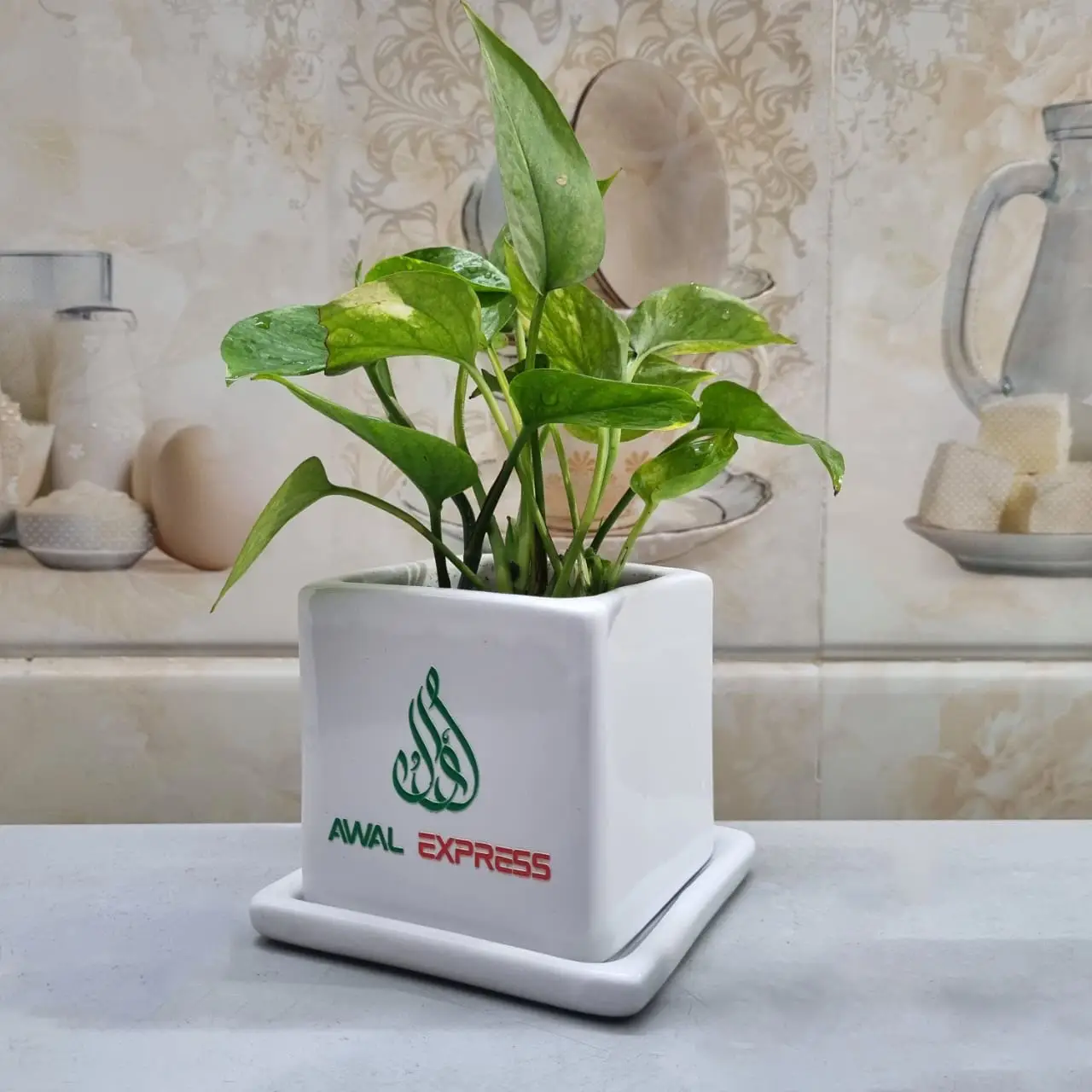 Corporate Gift