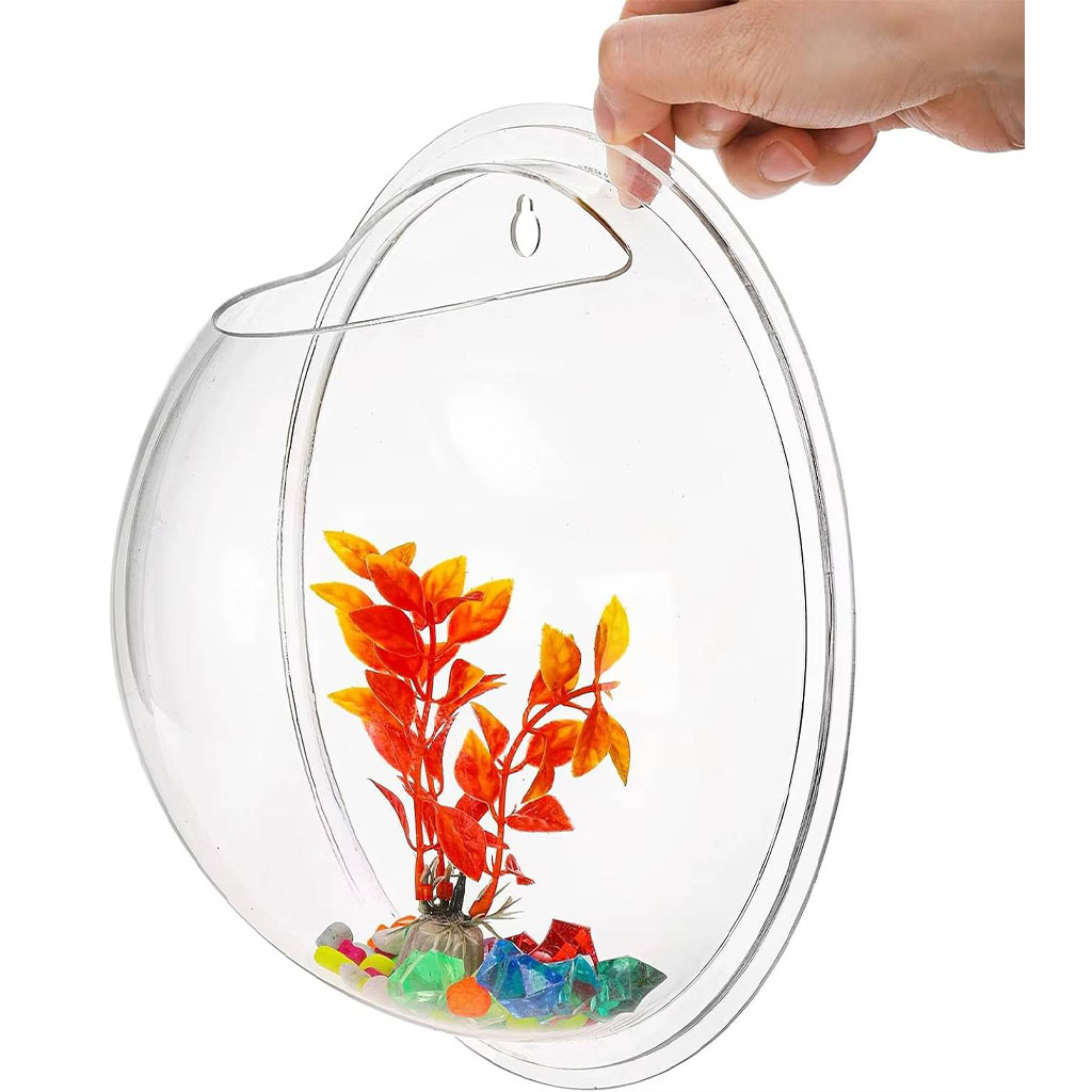 Wall Aquarium