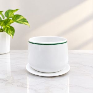 Ceramic Plant pot