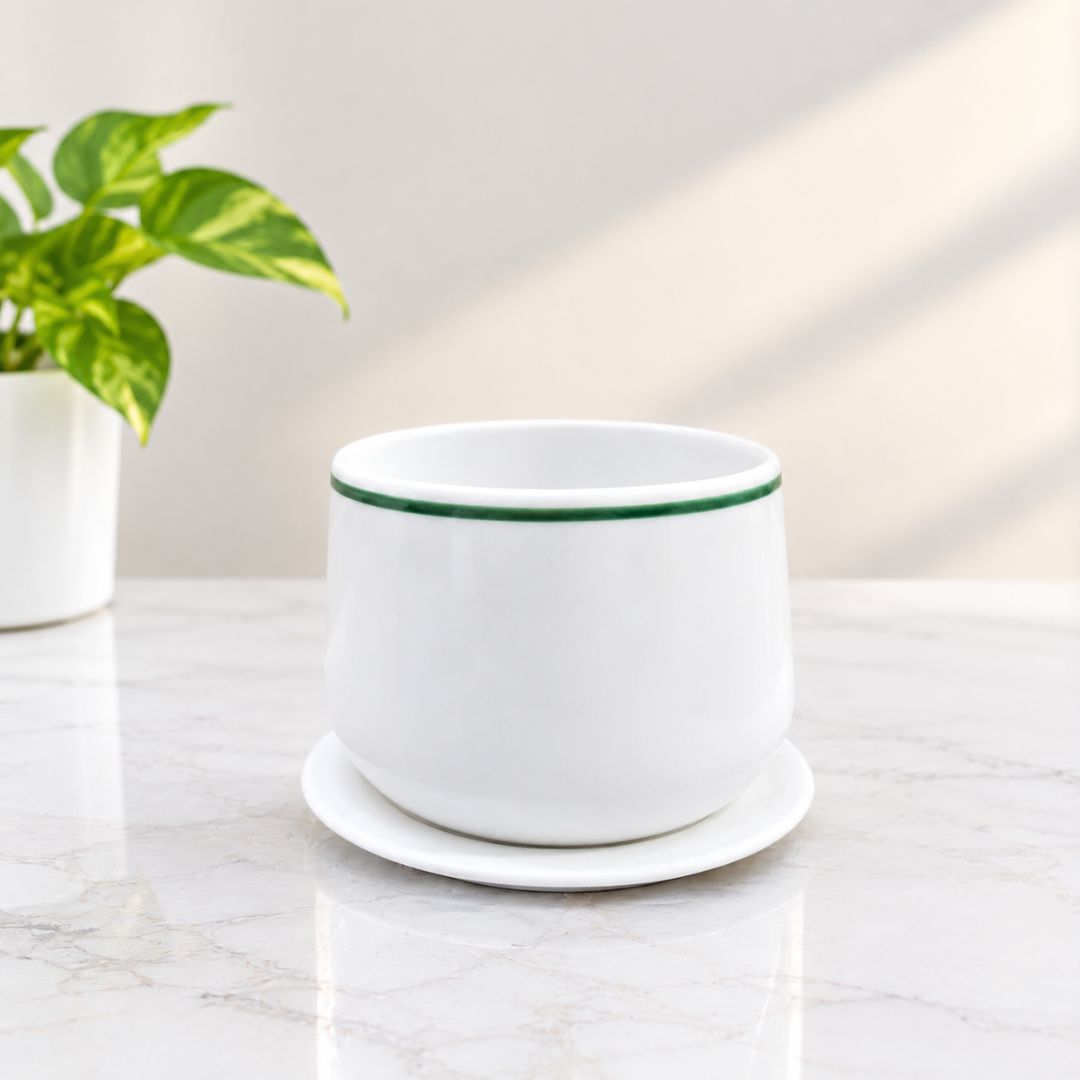 Ceramic Plant pot