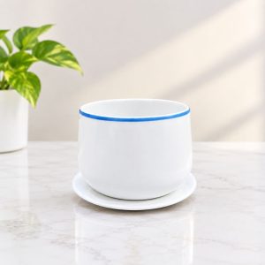 Ceramic Plant pot