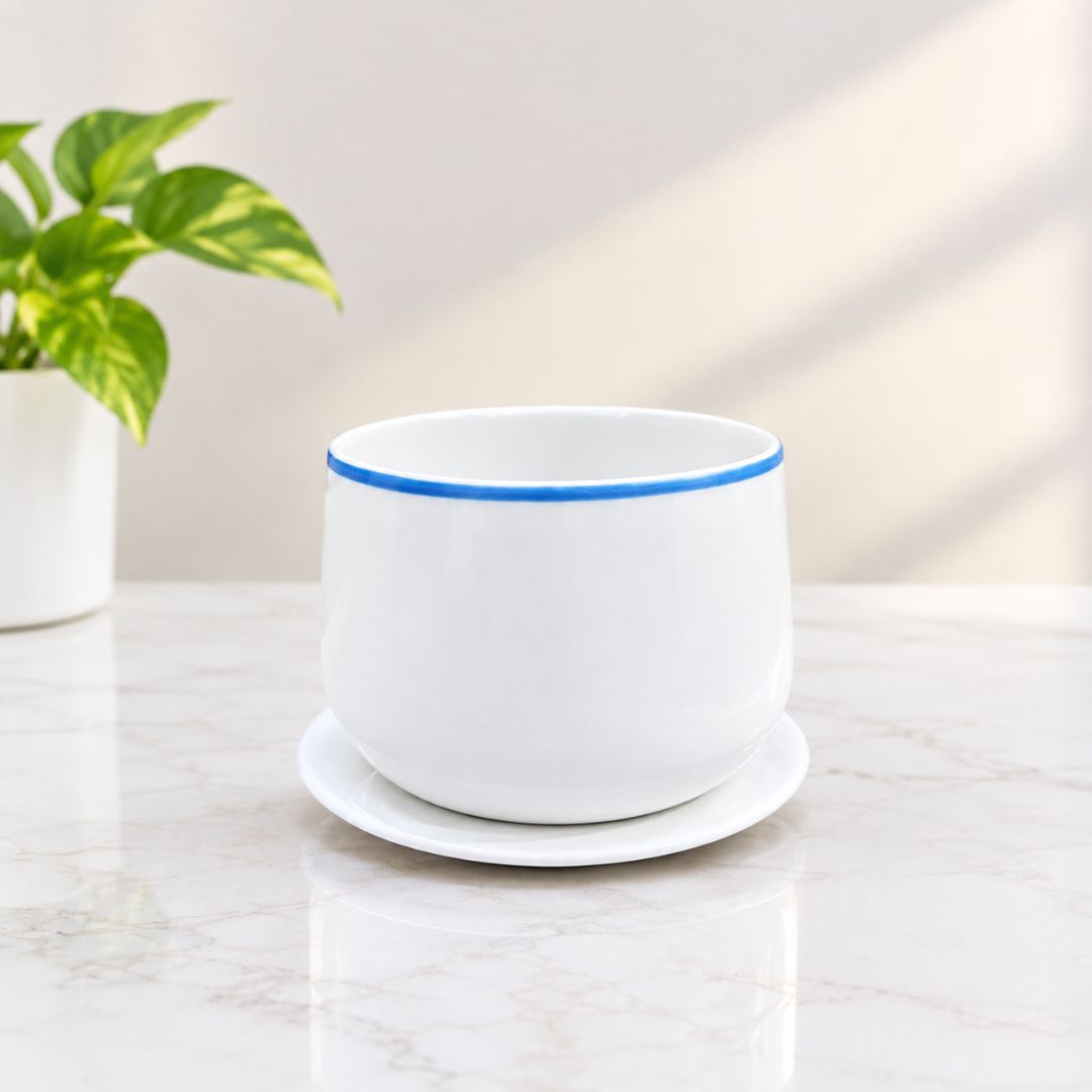 Ceramic Plant pot