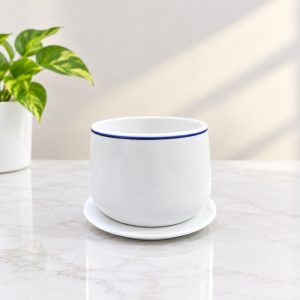 Ceramic Plant pot