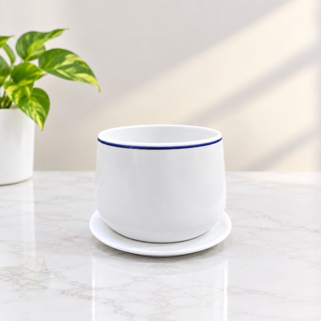 Ceramic Plant pot