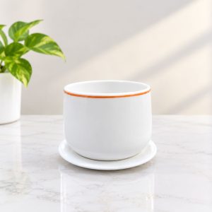 Ceramic Plant pot