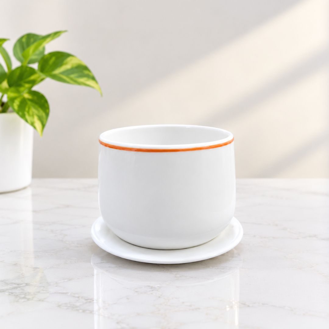 Ceramic Plant pot