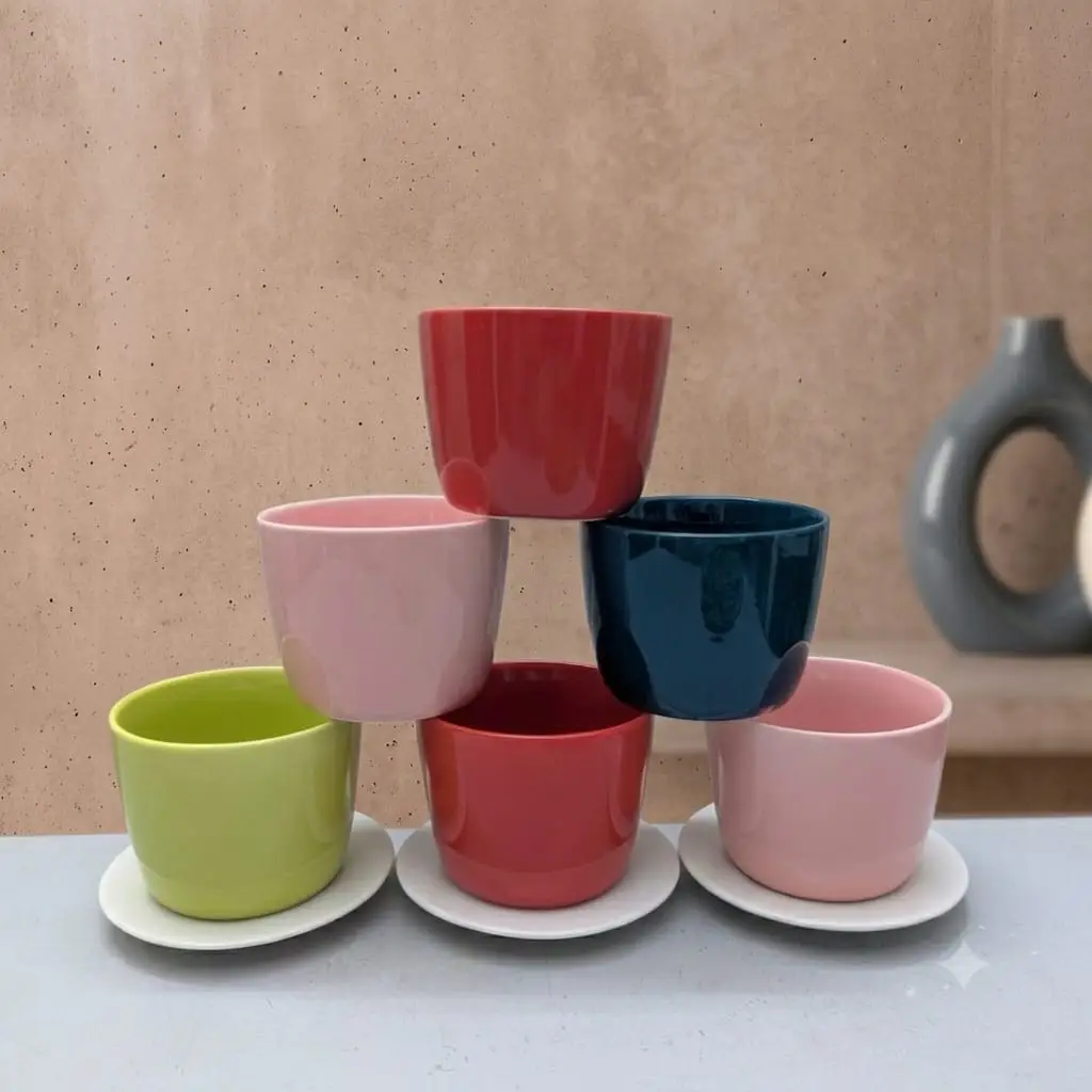 Ceramic Succulent Planter Ceramic Succulent Planter