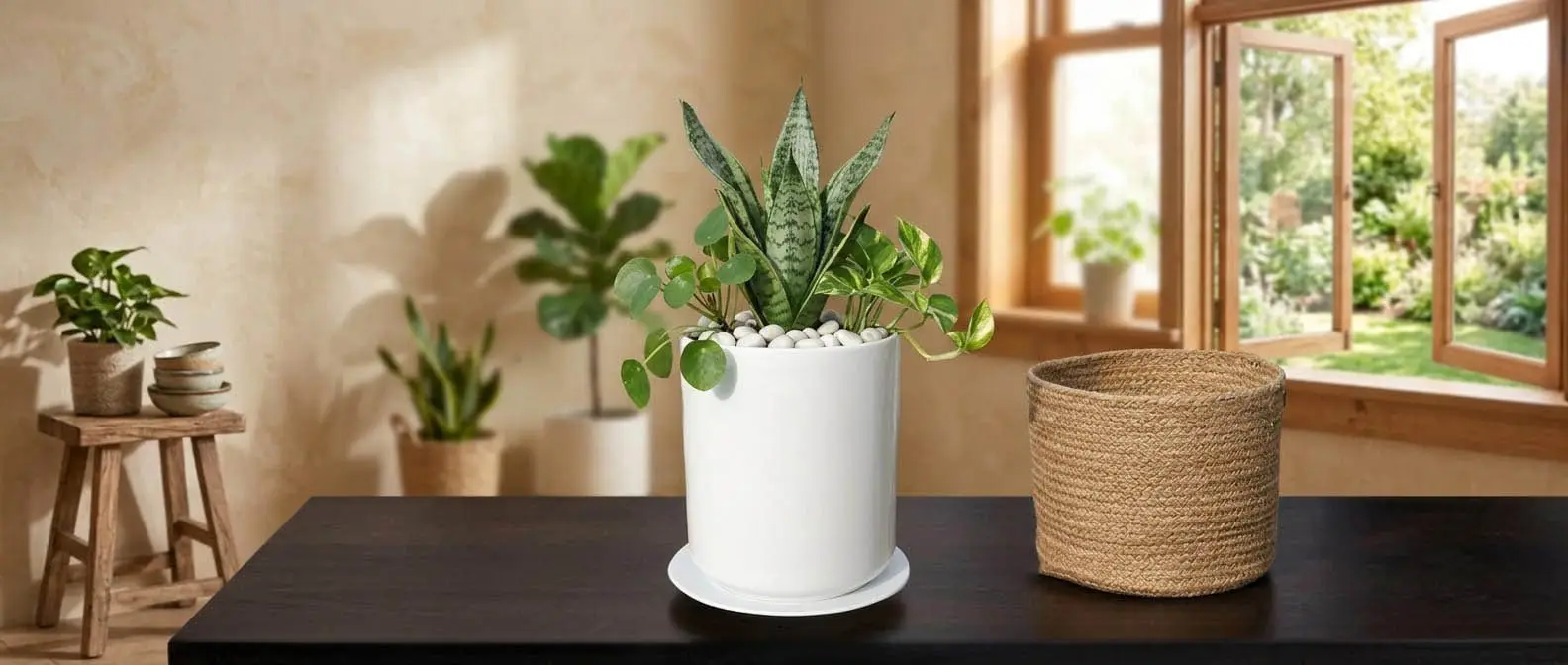 Garden Plant Pots