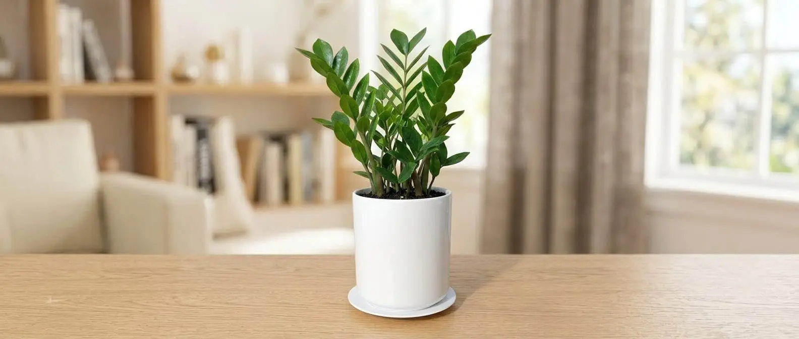 Garden Plant Pots