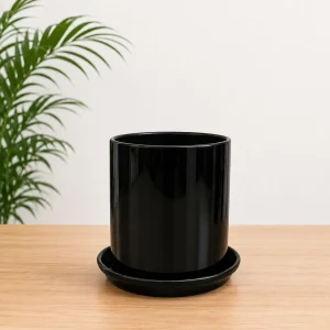 Black Ceramic Pot