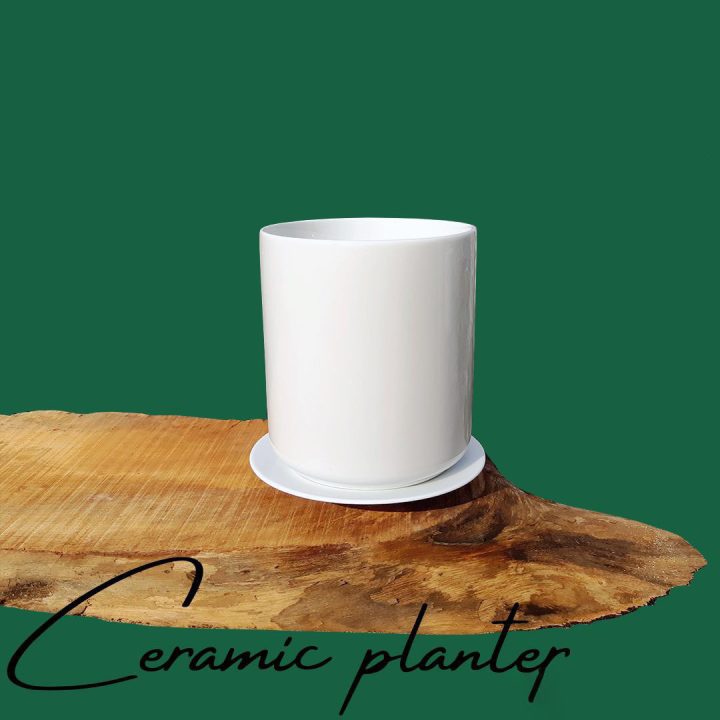 5 inchCeramic Planter